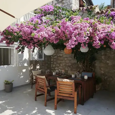 A Cozy In The Heart Of Old Murter, Croatia Vila